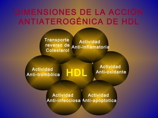 DIMENSIONES DE LA ACCIÓN
ANTIATEROGÉNICA DE HDL
Transporte
reverso de
Colesterol
Actividad
Anti-oxidante
Actividad
Anti-inflamatoria
Actividad
Anti-apoptotica
Actividad
Anti-trombóica
Actividad
Anti-infecciosa
HDL
 