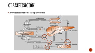 § Breve recordatorio de las lipoproteínas
 