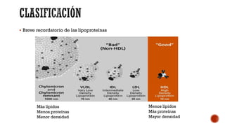 § Breve recordatorio de las lipoproteínas
Más lípidos
Menos proteínas
Menor densidad
Menos lípidos
Más proteínas
Mayor densidad
 