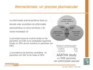 Aterosclerosis: un proceso plurivascular
Eur Heart J 2006 27: 1861-1867
AGATHA study
n=7099 pacientes
con enfermedad vascular
Pacientes con enfermedad vascular
(Territorios vasculares afectados)
- 1 territorio: 62,5%
- 2 territorios: 27,6%
- 3 territorios: 7,1%
7,1
6,7%
6,2%
14,7%
La principal causa de muerte tardía en los
pacientes con EAP es la cardiopatía isquémica
(hasta un 50% de las muertes en pacientes con
EAP)
La enfermedad arterial periférica tiene un
elevado valor pronóstico de enfermedad
aterosclerótica en otros territorios y de
morbi-mortalidad CV
La prevalencia de lesiones carotídeas en
pacientes con EAP es de hasta el 50%
 