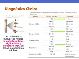 Diagnóstico Clínico 
• Se basa en los 
niveles séricos de las 
lipoproteínas y de sus 
lípidos o el depósito 
de ellos en la piel y 
tendones. 
Se recomienda 
evaluar los niveles 
de colesterol total, 
triglicéridos y 
colesterol-HDL en 
todos los pacientes 
adultos. 
 
