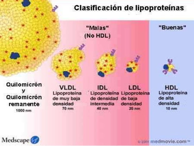 Dislipidemia Dislipidemia