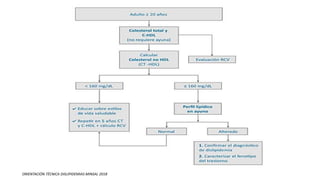 ORIENTACIÓN TÉCNICA DISLIPIDEMIAS MINSAL 2018
 