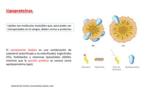 Lipoproteínas
Lípidos son moléculas insolubles que, para poder ser
transportados en la sangre, deben unirse a proteínas
El componente lipídico es una combinación de
colesterol (esterificado y no esterificado), triglicéridos
(TG), fosfolípidos y vitaminas liposolubles (ADEK);
mientras que la porción proteica se conoce como
apolipoproteína (apo).
ORIENTACIÓN TÉCNICA DISLIPIDEMIAS MINSAL 2018
 