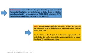 Quilomicrones: son partículas de gran tamaño y baja densidad.
Transportan los lípidos provenientes de la dieta, desde el intestino
hacia la circulación y se componen de TG (85-90%), colesterol (3-7%)
y apolipoproteínas (apo A-I, B-48, C-II, C-III y E) (33).
VLDL: una densidad muy baja, contienen un 50% de TG, 15%
de colesterol, 18% de fosfolípidos y apolipoproteínas (apo B-
100, E, C-II, C-III).
Se sintetizan en los hepatocitos de forma equivalente a la
síntesis de Qm en los enterocitos y corresponden a la mayor
fuente de TG circulantes en ayuno
ORIENTACIÓN TÉCNICA DISLIPIDEMIAS MINSAL 2018
 