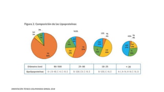 ORIENTACIÓN TÉCNICA DISLIPIDEMIAS MINSAL 2018
 