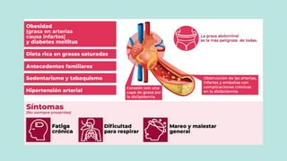 Dislipidemia, colesterol ,.mecanismo de regulacion HDL y LDL | PDF