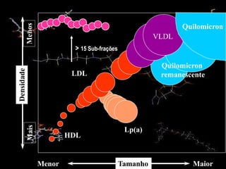 Tamanho
Menor Maior
Densidade
Mais
Menos
LDL
VLDL
Quilomicron
Quilomicron
remanescente
Lp(a)
HDL
> 15 Sub-frações
 