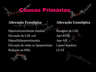 Causas Primárias
Alteração Fenotípica Alteração Genotípica
Hipercolesterolemia familiar Receptor de LDL
Elevação da LDL-col Apo B100
Hipoalfalipoproteinemia Apo AII
Elevação de todas as lipoproteínas Lipase hepática
Redução na HDL LCAT
 