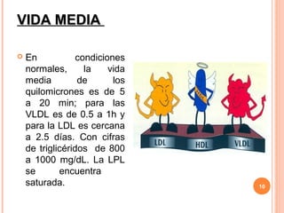 VIDA MEDIA

   En            condiciones
    normales,       la    vida
    media         de       los
    quilomicrones es de 5
    a 20 min; para las
    VLDL es de 0.5 a 1h y
    para la LDL es cercana
    a 2.5 días. Con cifras
    de triglicéridos de 800
    a 1000 mg/dL. La LPL
    se       encuentra
    saturada.                    10
 
