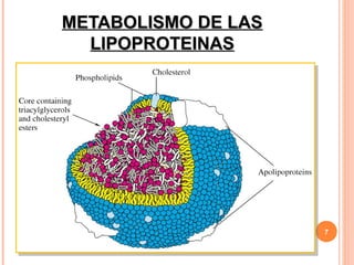 METABOLISMO DE LAS
  LIPOPROTEINAS




                     7
 