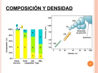 COMPOSICIÓN Y DENSIDAD




                         8
 
