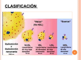 CLASIFICACIÓN




                9
 