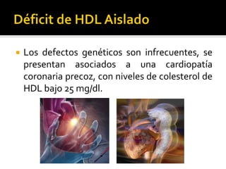 Pruebas de Laboratorio
Test de quilomicrones
Colesterol total
Triglicéridos

Colesterol de HDL
Relación Colesterol total/C...