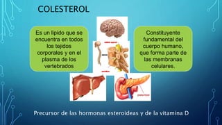 COLESTEROL
Es un lipido que se
encuentra en todos
los tejidos
corporales y en el
plasma de los
vertebrados
Constituyente
f...
