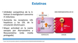 Estatinas
• Inhibidor competitivo de la 3-
hidroxi-3-metilglutaril coenzima
A reductasa.
• Aumenta los receptores LDL
hepáticos y las LDL de la
circulación disminuyen.
• Mayor actividad en la noche
excepto por Atorvastatina y
Rosuvastatina (vida media
prologada).
Fuente: http://clinicalevidence.pbworks.com/w/file/fetch/63221078/FASES%20DE%20DESARROLLO.pdf
 