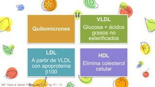 “Quilomicrones
VLDL
Glucosa + ácidos
grasos no
esterificados
LDL
A partir de VLDL
con apoproteína
b100
HDL
Elimina coleste...