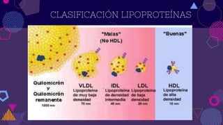 CLASIFICACIÓN LIPOPROTEÍNAS
 