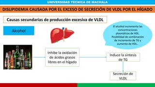 UNIVERSIDAD TÉCNICA DE MACHALA
DISLIPIDEMIA CAUSADA POR EL EXCESO DE SECRECIÓN DE VLDL POR EL HÍGADO
Causas secundarias de producción excesiva de VLDL
Alcohol
Inhibe la oxidación
de ácidos grasos
libres en el hígado
Induce la síntesis
de TG
Secreción de
VLDL
El alcohol incrementa las
concentraciones
plasmáticas de HDL.
Posibilidad de combinación
de incremento de TG y
aumento de HDL..
 