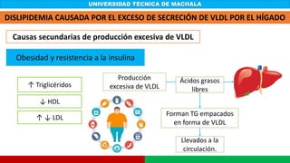 UNIVERSIDAD TÉCNICA DE MACHALA
DISLIPIDEMIA CAUSADA POR EL EXCESO DE SECRECIÓN DE VLDL POR EL HÍGADO
Causas secundarias de producción excesiva de VLDL
Obesidad y resistencia a la insulina
Forman TG empacados
en forma de VLDL
Llevados a la
circulación.
↑ ↓ LDL
↑ Triglicéridos
↓ HDL
Producción
excesiva de VLDL
Ácidos grasos
libres
 