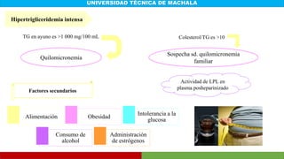 UNIVERSIDAD TÉCNICA DE MACHALA
Hipertrigliceridemia intensa
TG en ayuno es >1 000 mg/100 mL
Quilomicronemia
Colesterol/TG es >10
Sospecha sd. quilomicronemia
familiar
Alimentación Obesidad
Intolerancia a la
glucosa
Consumo de
alcohol
Administración
de estrógenos
Factores secundarios
Actividad de LPL en
plasma posheparinizado
 