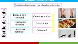 UNIVERSIDAD TÉCNICA DE MACHALA
Modificaciones del colesterol para evitar enfermedades cardiovasculares
Estilo
de
vida
Reducir peso
corporal
Orientación
dietética
Grasas saturadas
Grasas trans
Colesterol
Ejercicios
aeróbicos
 