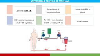 UNIVERSIDAD TÉCNICA DE MACHALA
Aféresis del LDL
En persistencia de
hipercolesterolemia
Eliminación de LDL en
plasma
CHD y un nivel plasmático de
LDL-C >200 mg/100 mL
No CHD y nivel plasmático
de LDL-C >300 mg/100 mL
Cada 3 semanas
 
