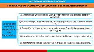 UNIVERSIDAD TÉCNICA DE MACHALA
Centros que
regulan el
metabolismo
de
lipoproteínas
1) Ensamblado y secreción de VLDL por abundantes triglicéridos por parte
del hígado.
2) Lipólisis de lipoproteínas con abundantes triglicéridos por intervención de
LPL
3) Captación de lipoproteínas que contienen apoB mediada por receptores,
en el hígado
4) Metabolismo del colesterol celular dentro del hepatocito y el enterocito
5) Transferencia de lípidos neutros e hidrólisis de fosfolípidos en el plasma.
TRASTORNOS DE LA HIPERCOLESTEROLEMIA E HIPERTRIGLICERIDEMIA
 