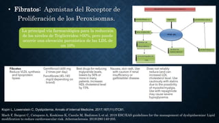 • Fibratos: Agonistas del Receptor de
Proliferación de los Peroxisomas.
La principal vía farmacológica para la reducción
de los niveles de Triglicéridos >50%, pero puede
ocurrir una elevación paroxística de las LDL de
un 10%
Mach F, Baigent C, Catapano A, Koskinas K, Casula M, Badimon L et al. 2019 ESC/EAS guidelines for the management of dyslipidaemias: Lipid
modification to reduce cardiovascular risk. Atherosclerosis. 2019;290:140-205.
Kopin L, Lowenstein C. Dyslipidemia. Annals of Internal Medicine. 2017;167(11):ITC81.
 