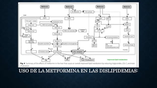 USO DE LA METFORMINA EN LAS DISLIPIDEMIAS:
 