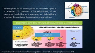 El transporte de los ácidos grasos se encuentra ligado a
la albumina. El colesterol y los triglicéridos, al ser
sustancias insolubles se transportan en fosfolípidos y
proteínas de membrana denominados Lipoproteínas.
Se clasifican a partir de su estructura, densidad, movilidad y acción biológica:
APOB48
APOB100
Lorenzo-Velázquez B, Lorenzo Fernández P. Farmacología básica y clínica. 19th ed. Madrid [etc.]: Panamericana; 2018.
 