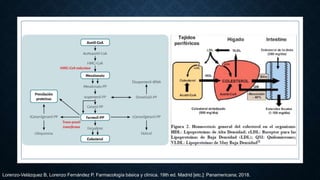 Lorenzo-Velázquez B, Lorenzo Fernández P. Farmacología básica y clínica. 19th ed. Madrid [etc.]: Panamericana; 2018.
 