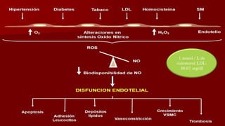 1 mmol / L de
colesterol LDL:
38.67 mg/dl
 