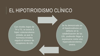 EL HIPOTIROIDISMO CLÍNICO
Con niveles bajos de
T4 y T3, se asocia a
hiper-colesterolemia
aislada, ya que la
hormona tiroídea
regula el número de
receptores de LDL
Se ha demostrado en
el hipotiroidismo un
defecto en la
catabolización de las
LDL, pudiendo llegar a
expresarse como una
hipercolesterolemia
severa.
 