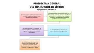 PERSPECTIVA GENERAL
DEL TRANSPORTE DE LÍPIDOS
Debido a que los lípidos son relativamente
insolubles en agua, se transportan en
asociación con proteínas
Los complejos más simples son aquellos que se
forman entre los ácidos grasos no esterificados
o libres (FFA) y la albúmina, que sirve para
transportar los FFA desde los adipocitos
periféricos hacia otros tejidos.
Los lípidos restantes se transportan en
complejos esféricos de lipoproteína y las
regiones centrales contienen lípidos
hidrofóbicos.
Los principales lípidos del centro son
ésteres de colesterilo y triglicéridos.
Los triglicéridos predominan en el
centro de los quilomicrones, que
transportan los lípidos recién
absorbidos desde el intestino, y en las
VLDL, que se originan en el hígado.
Lipoproteínas plasmáticas
 