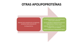 OTRAS APOLIPOPROTEÍNAS
Además de las proteínas B, las siguientes
proteínas están presentes en
las lipoproteínas
Las apolipoproteínas C son proteínas de
menor peso molecular
que se equilibran rápidamente entre las
lipoproteínas. Existen cuatro
especies diferentes: C-I, C-II, C-III y C-IV.
La Apo C-II es un cofactor
indispensable para la lipoproteína lipasa.
 