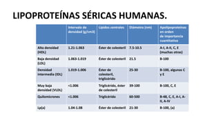 LIPOPROTEÍNAS SÉRICAS HUMANAS.
Intervalo de
densidad (g/cm3)
Lípidos centrales Diámetro (nm) Apolipoproteínas
en orden
de importancia
cuantitativa
Alta densidad
(HDL)
1.21-1.063 Éster de colesteril 7.5-10.5 A-I, A-II, C, E
(muchas otras)
Baja densidad
(LDL)
1.063-1.019 Éster de colesteril 21.5 B-100
Densidad
intermedia (IDL)
1.019-1.006 Éster de
colesteril,
triglicérido
25-30 B-100, algunas C
y E
Muy baja
densidad (VLDL)
<1.006 Triglicérido, éster
de colesteril
39-100 B-100, C, E
Quilomicrones <1.006 Triglicérido 60-500 B-48, C, E, A-I, A-
II, A-IV
Lp(a) 1.04-1.08 Éster de colesteril 21-30 B-100, (a)
 