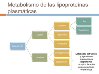Metabolismo de las lipoproteínas
plasmáticas
lipoproteínas
Lípidos
Colesterol
Libre
Estratificado
Triglicéridos
Fosfolípid...