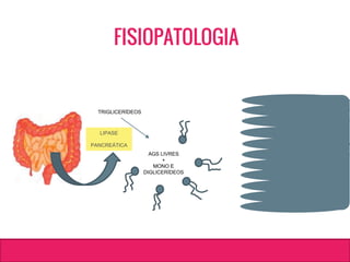 TRIGLICERÍDEOS
AGS LIVRES
+
MONO E
DIGLICERÍDEOS
LIPASE
PANCREÁTICA
FISIOPATOLOGIA
 