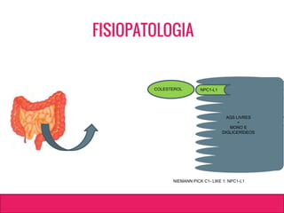 AGS LIVRES
+
MONO E
DIGLICERÍDEOS
NPC1-L1
NIEMANN PICK C1- LIKE 1: NPC1-L1
COLESTEROL
FISIOPATOLOGIA
 
