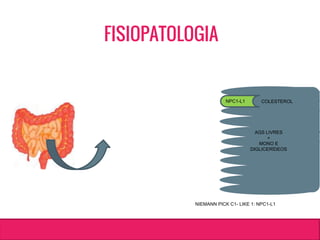 AGS LIVRES
+
MONO E
DIGLICERÍDEOS
NPC1-L1
NIEMANN PICK C1- LIKE 1: NPC1-L1
COLESTEROL
FISIOPATOLOGIA
 