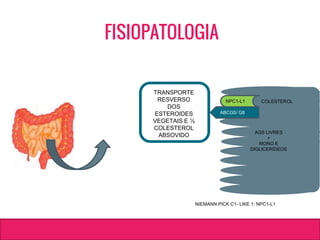 AGS LIVRES
+
MONO E
DIGLICERÍDEOS
NPC1-L1
NIEMANN PICK C1- LIKE 1: NPC1-L1
COLESTEROL
ABCG5/ G8
TRANSPORTE
RESVERSO
DOS
ESTEROIDES
VEGETAIS E ½
COLESTEROL
ABSOVIDO
FISIOPATOLOGIA
 