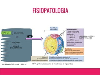 AGS LIVRES
+
MONO E
DIGLICERÍDEOS
NPC1-L1
NIEMANN PICK C1- LIKE 1: NPC1-L1
COLESTEROL
VASOS LINFÁTICOS –
DUCTO TORÁCICO
MTP
MTP : proteína microssomal de transferência de triglicerídeos
FISIOPATOLOGIA
 