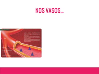 NOS VASOS...
 