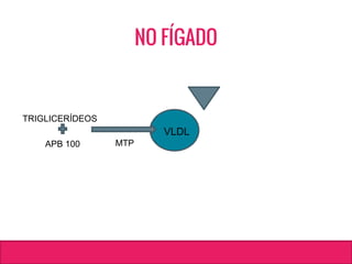 NO FÍGADO
TRIGLICERÍDEOS
APB 100
VLDL
MTP
 