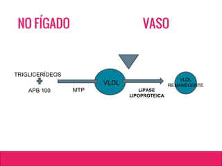 NO FÍGADO VASO
TRIGLICERÍDEOS
APB 100
VLDL
MTP LIPASE
LIPOPROTEICA
VLDL
REMANSCENTE
 