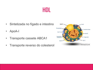 HDL
• Sintetizada no fígado e intestino
• ApoA-I
• Transporte cassete ABCA1
• Transporte reverso do colesterol
 