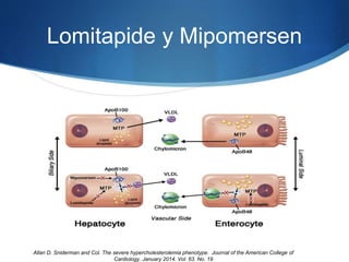 Lomitapide y Mipomersen
Allan D. Sniderman and Col. The severe hypercholesterolemia phenotype. Journal of the American College of
Cardiology. January 2014. Vol. 63. No. 19
 