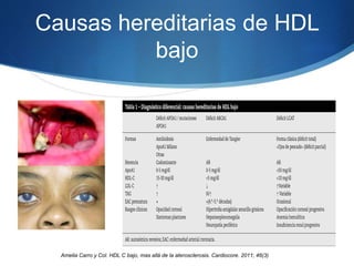 Causas hereditarias de HDL
bajo
Amelia Carro y Col. HDL C bajo, mas allá de la aterosclerosis. Cardiocore. 2011; 46(3)
 