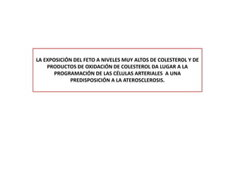 LA EXPOSICIÓN DEL FETO A NIVELES MUY ALTOS DE COLESTEROL Y DE
PRODUCTOS DE OXIDACIÓN DE COLESTEROL DA LUGAR A LA
PROGRAMACIÓN DE LAS CÉLULAS ARTERIALES A UNA
PREDISPOSICIÓN A LA ATEROSCLEROSIS.
 